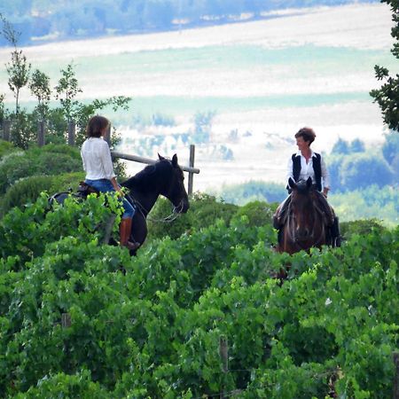 Hotel Castello Banfi - Il Borgo - Relais Et Chateaux Poggio alle Mura Zewnętrze zdjęcie