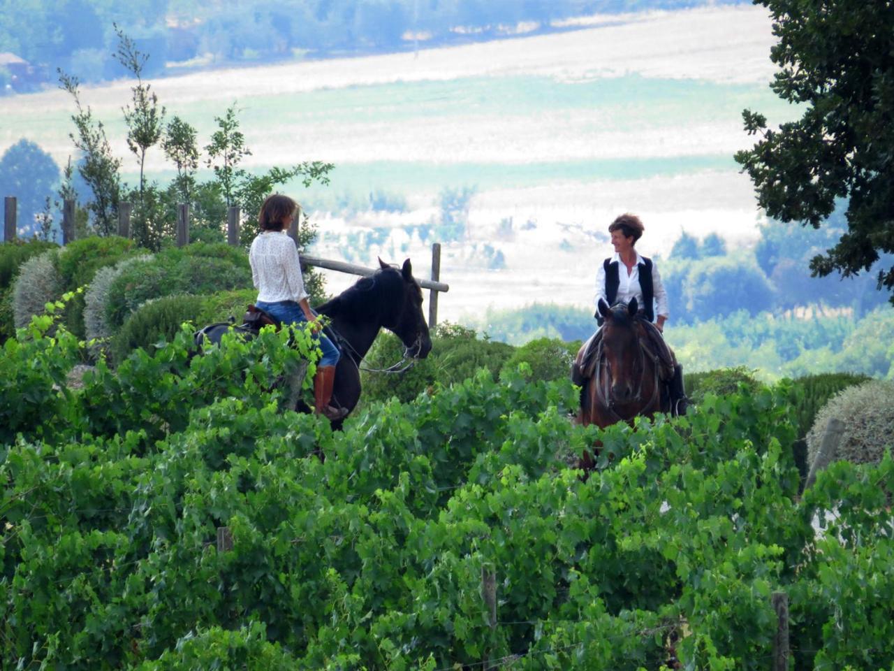 Hotel Castello Banfi - Il Borgo - Relais Et Chateaux Poggio alle Mura Zewnętrze zdjęcie